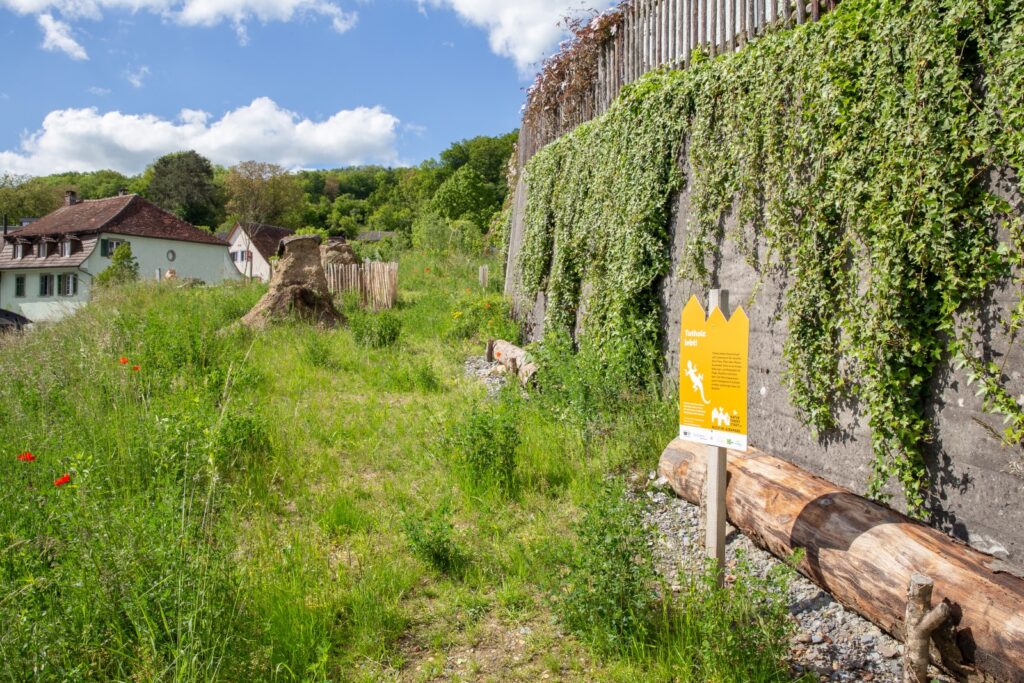 Biberstein Dorfplatz 26 resized | Binding Preis Biodiversität