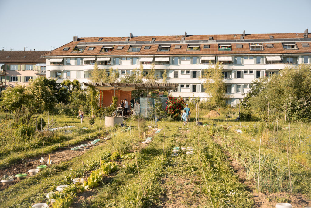 Das Herzstück der Anlage ist der Gemüsegarten, welchen die Vereinsmitglieder selbstverständlich pestizidfrei und ohne Maschinen bewirtschaften.
© Stefanie Würsch
