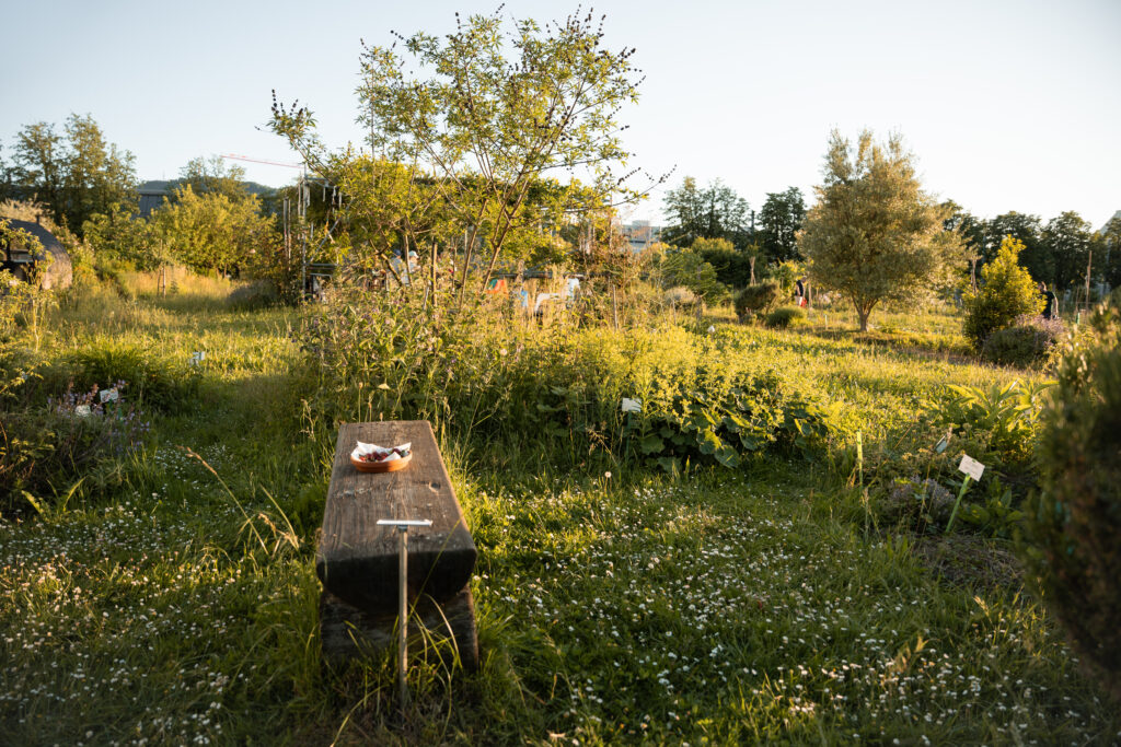 Im Kräutergarten finden sich diverse Würz- und Heilpflanzen, alle mit Namen beschriftet.
© Stefanie Würsch

