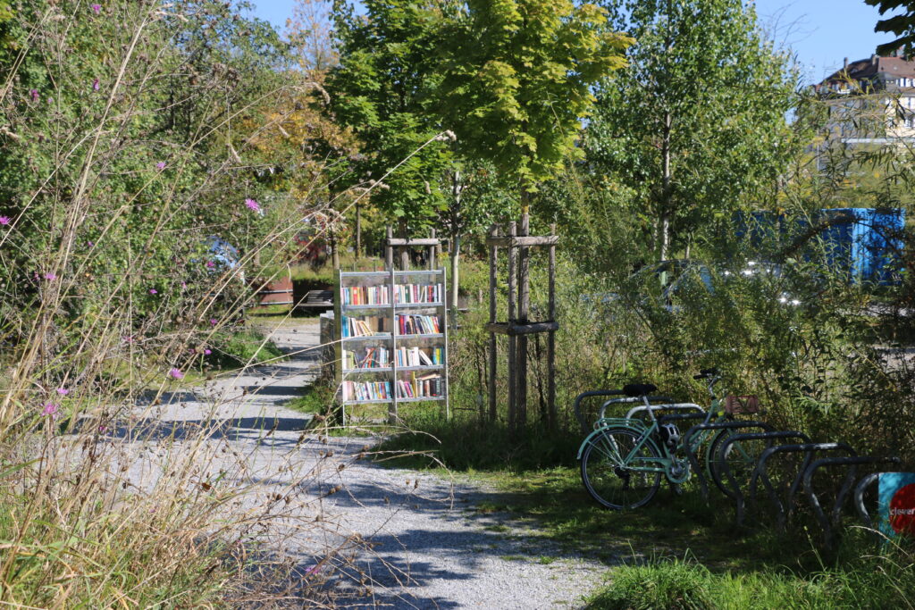 Buchtauschkasten und Veloständer umgeben von Grün auf dem Areal Bach in St. Gallen