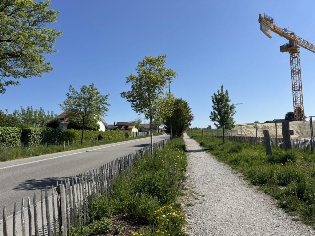 Eine Strasse gesäumt von einem Kiesweg und grünen Bändern mit Einzelbäumen und Nisthilfen, daneben eine Baustelle. Route de GRandcour in Estavayer-le-Lac